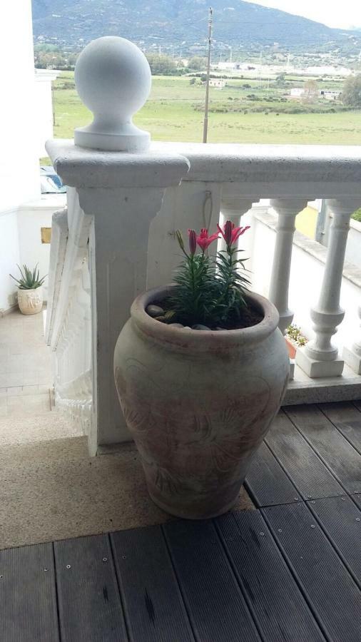 Anno Domini Bed and Breakfast Olbia Zewnętrze zdjęcie