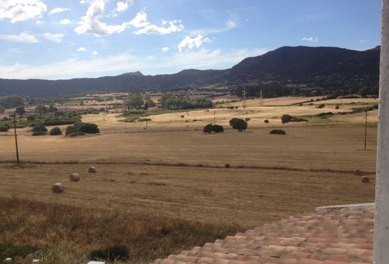 Anno Domini Bed and Breakfast Olbia Zewnętrze zdjęcie